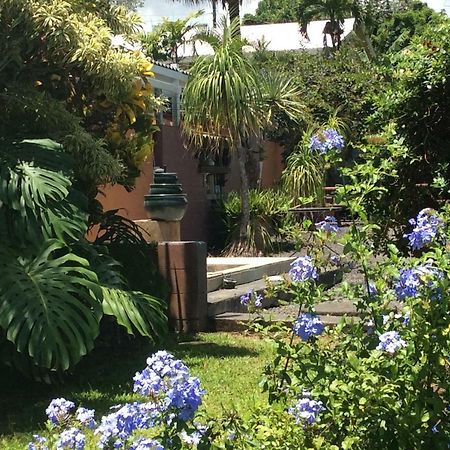 Mediteranean Style Ohana Rental / Garden Bungalow In Pahoa Honolulu Landing Zewnętrze zdjęcie