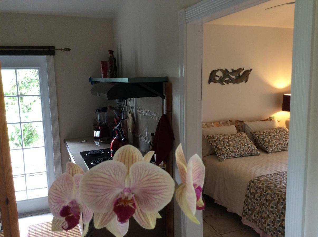 Mediteranean Style Ohana Rental / Garden Bungalow In Pahoa Honolulu Landing Zewnętrze zdjęcie