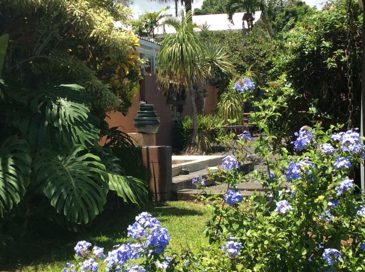 Mediteranean Style Ohana Rental / Garden Bungalow In Pahoa Honolulu Landing Zewnętrze zdjęcie