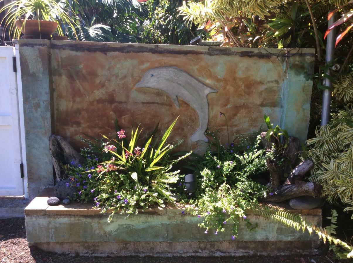 Mediteranean Style Ohana Rental / Garden Bungalow In Pahoa Honolulu Landing Zewnętrze zdjęcie