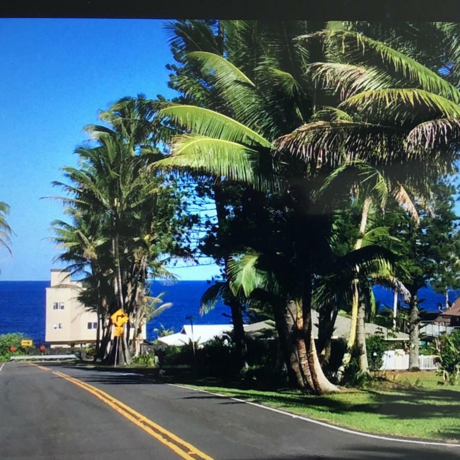 Mediteranean Style Ohana Rental / Garden Bungalow In Pahoa Honolulu Landing Zewnętrze zdjęcie