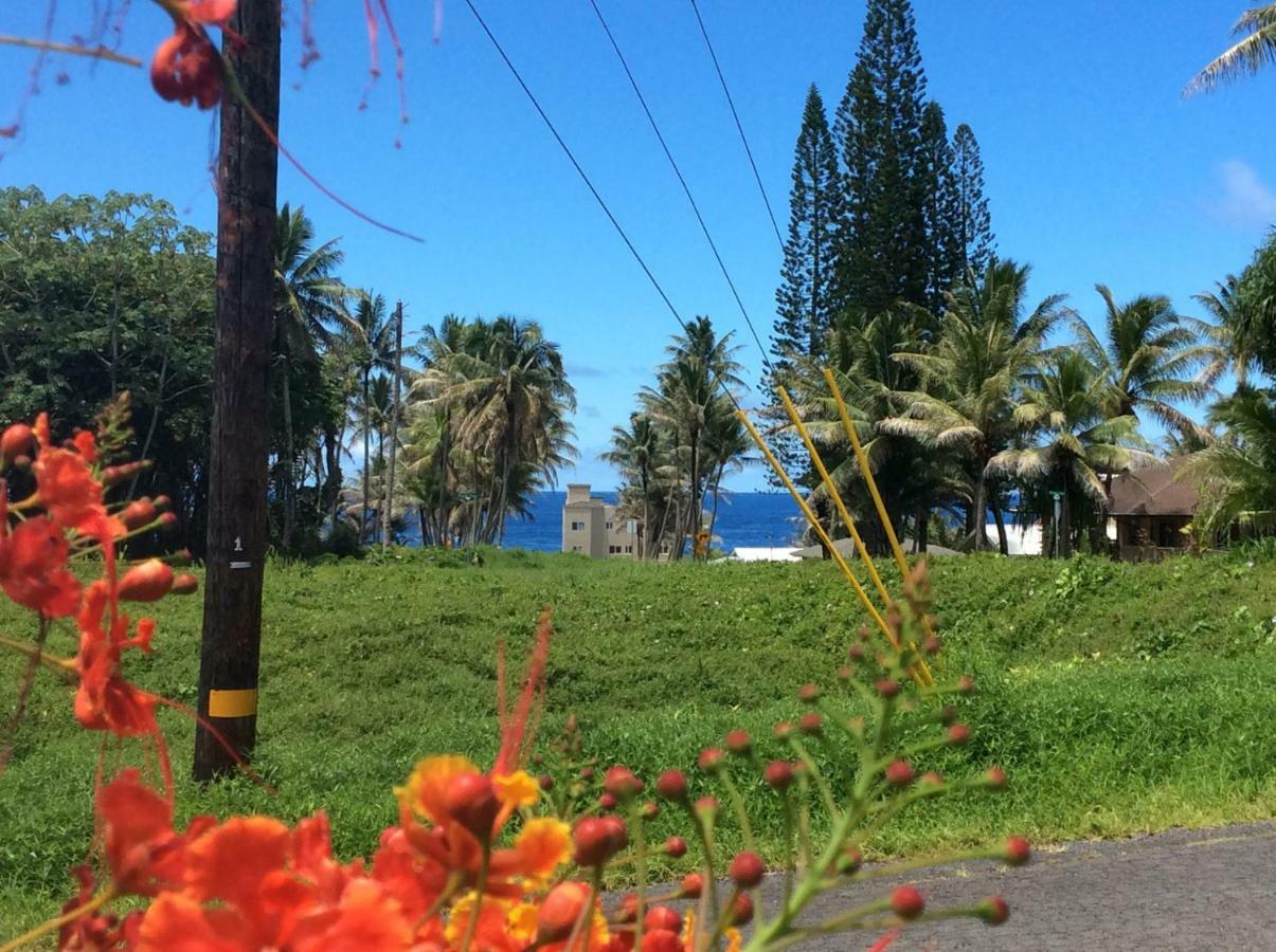 Mediteranean Style Ohana Rental / Garden Bungalow In Pahoa Honolulu Landing Zewnętrze zdjęcie